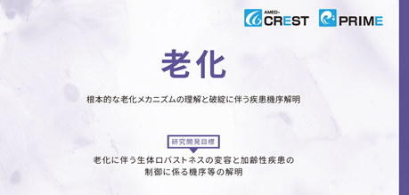 桑子先生_AMED 桑子先生_AMED採択