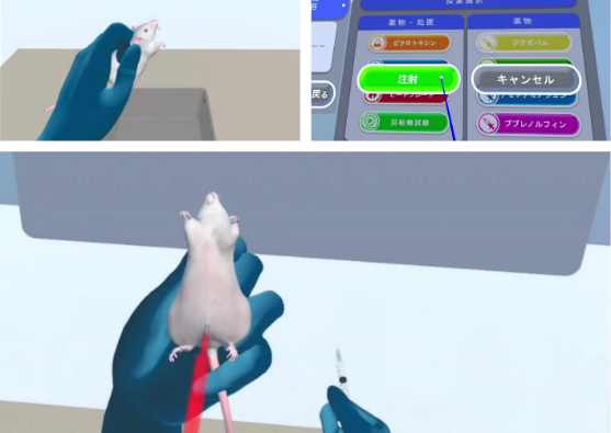 vreizou VR