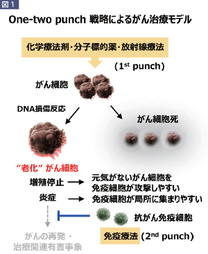 onetwopunch戦略 onetwopunch戦略