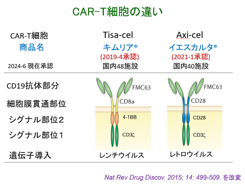 図1_car-t細胞の違い 図1_car-t細胞の違い