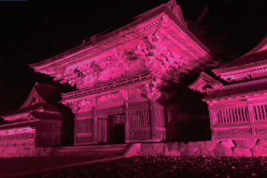 出雲大社ピンクライトアップ 出雲大社ピンクライトアップ