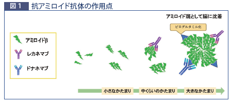 ドラネマブイメージ ドラネマブイメージ