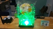 Photo＿Sample