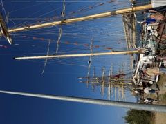 Photo＿Sample